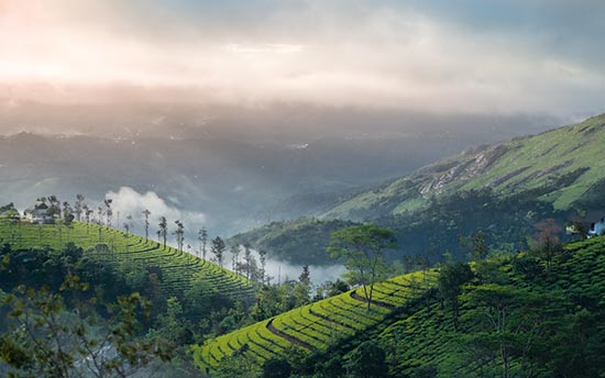 Kullu Mannali